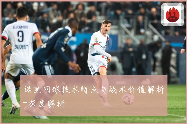 诺里网球技术特点与战术价值解析-深度解析